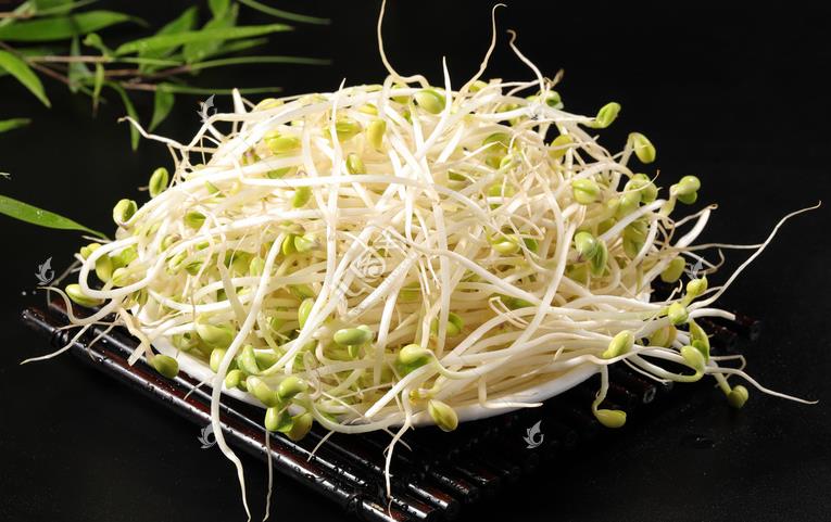 無(wú)公害綠色豆芽，怎么生產(chǎn)出來(lái)的？全套生產(chǎn)過(guò)程如此方便智能